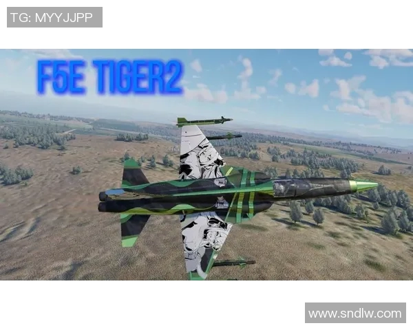 5e比赛-终极对战,第五篇章战争之地—萨尔的神话化变迁及实战比赛的冲击-5e比赛 5e比赛-终极对战,第五篇章战争之地—萨尔的神话化变迁及实战比赛的冲击-5e比赛